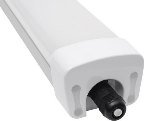 Waterproof White IP65 1.2M 50W LED Tri Proof Light